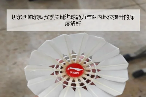 切尔西帕尔默赛季关键进球能力与队内地位提升的深度解析